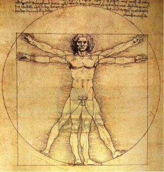 vitruvian